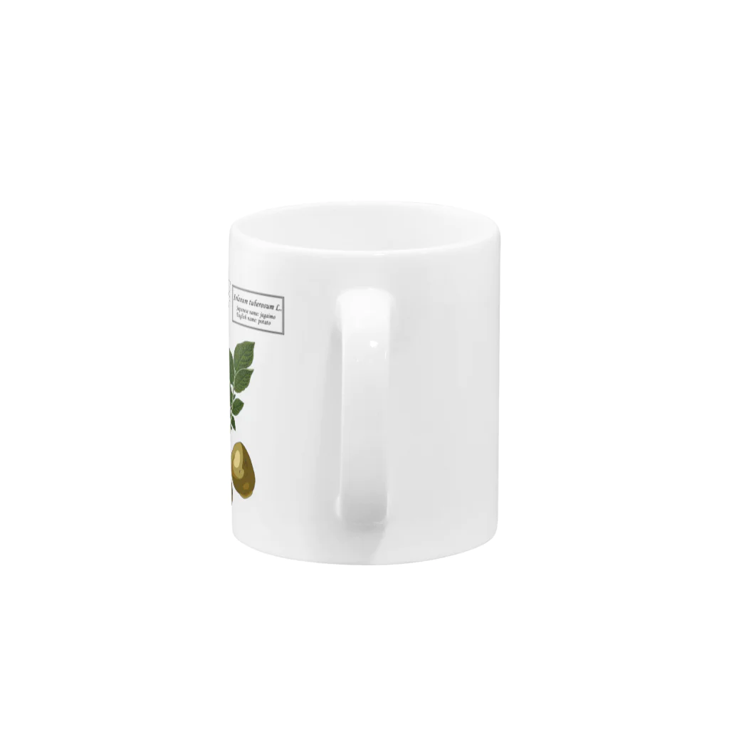 たくみのグッズショップのジャガイモ（Solanum tuberosum） Mug :handle