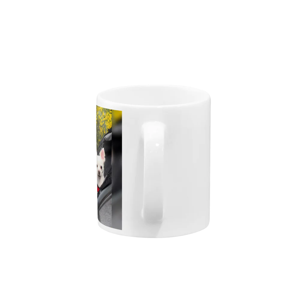 ここまる。🐶🎀のここまる三兄弟【ミモザ】 Mug :handle