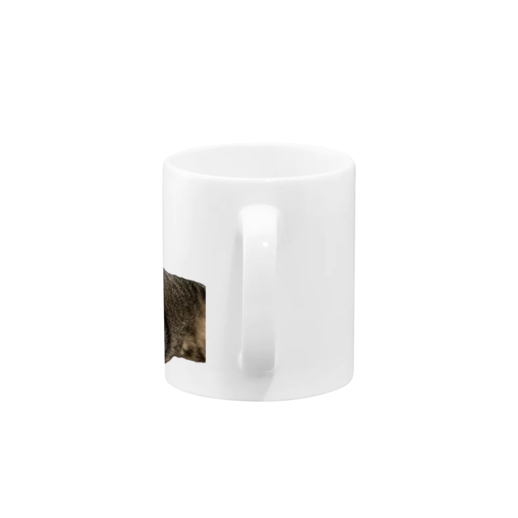 オレはニャン蔵の『猫に小判』オレはニャン蔵 Mug :handle