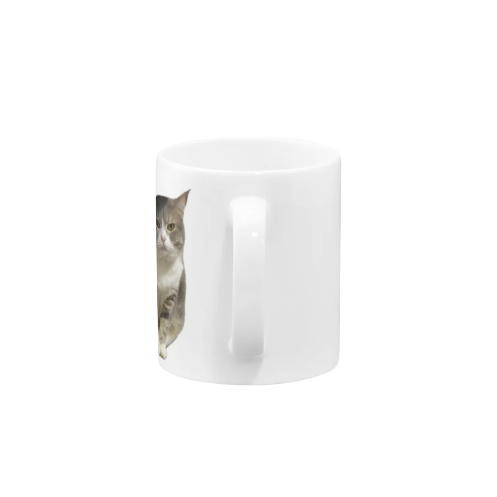 むっちり猫のむっちり丸の不機嫌な美猫 ミロ姫 Mug :handle