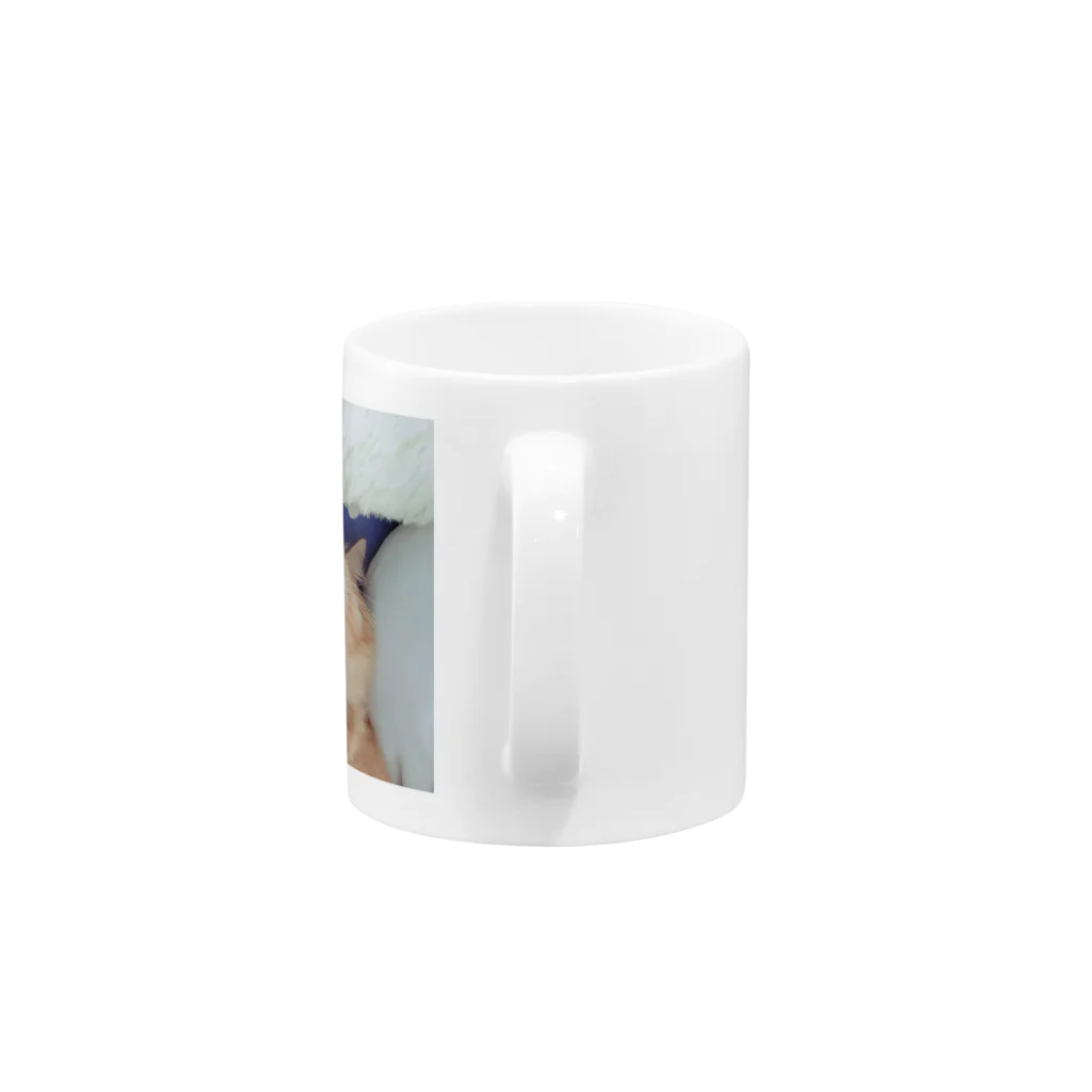 Mizuki・ASIA CATのcoco Mug :handle