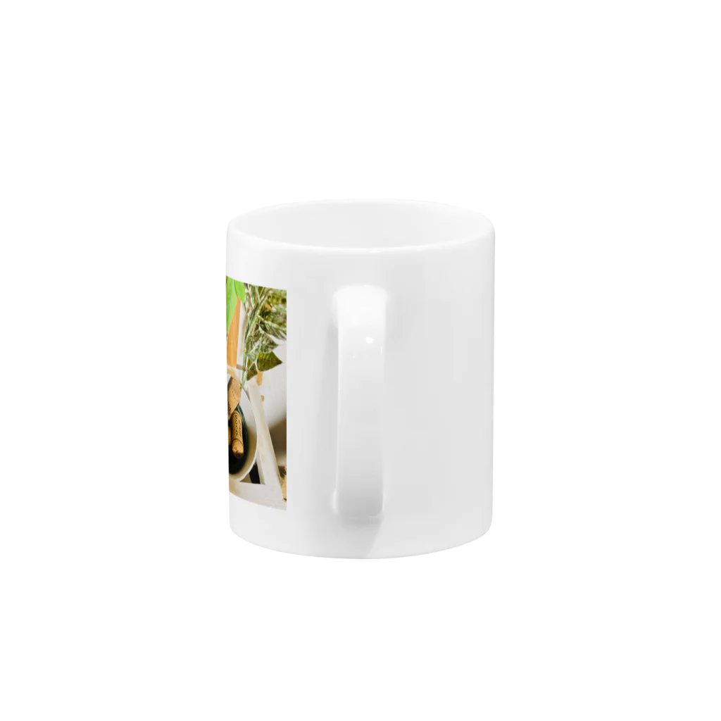 Mizuki・ASIA CATのコルク集め Mug :handle