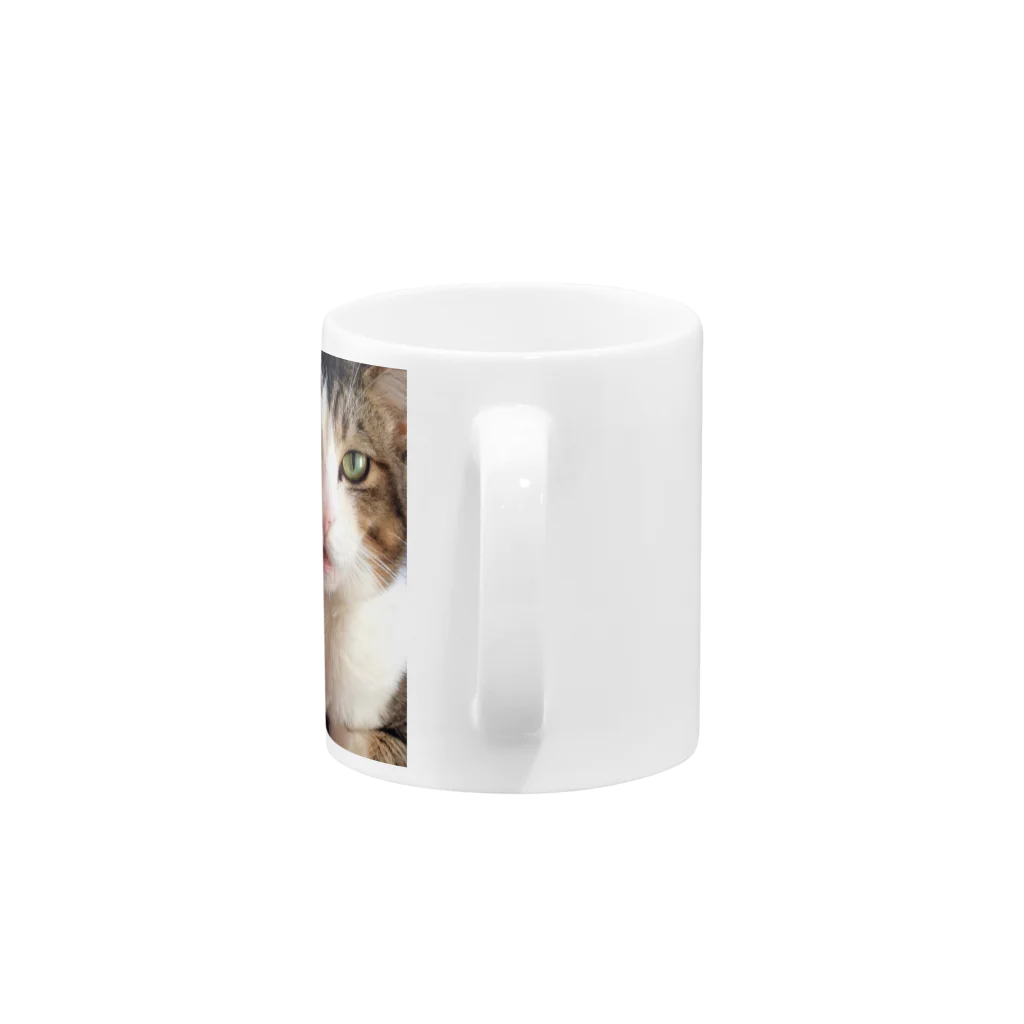 ひーこの猫 Mug :handle