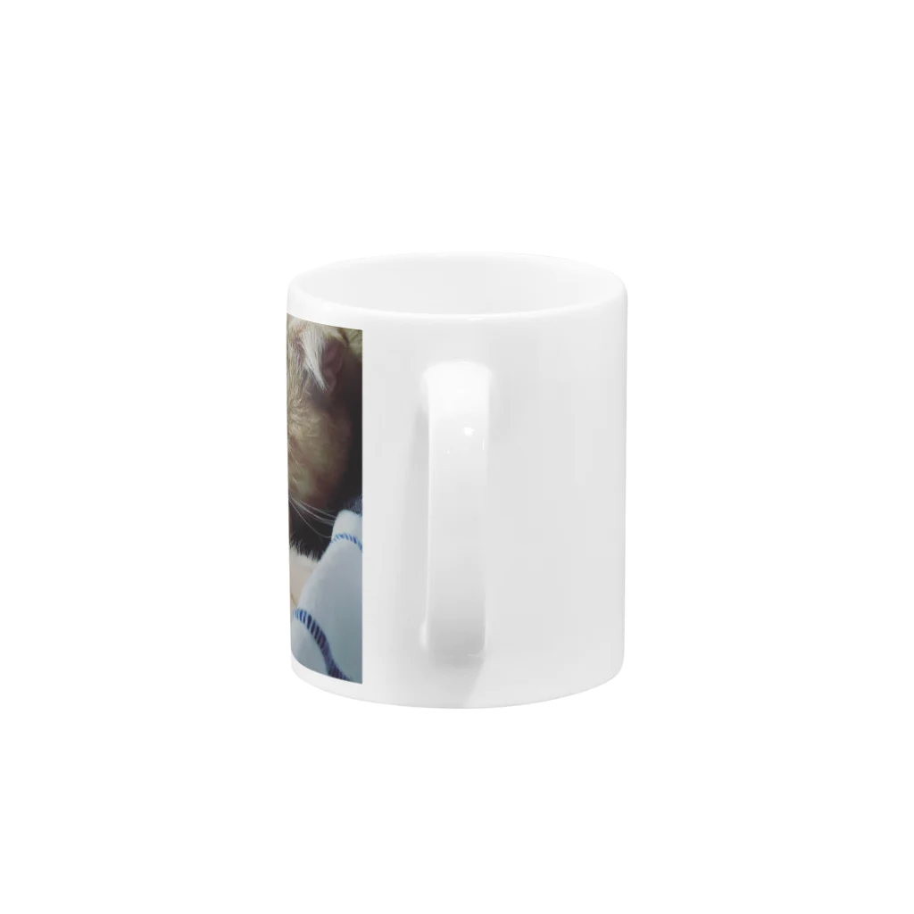 noixのひだまりの猫 Mug :handle
