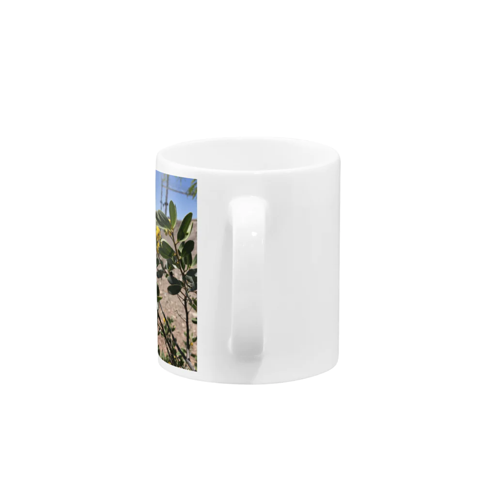 アメリカ！Dream picture factory の砂漠に咲いた花 Mug :handle