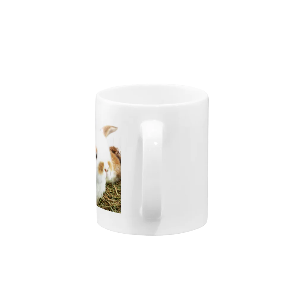 jetglassのうさぎのキナチ Mug :handle