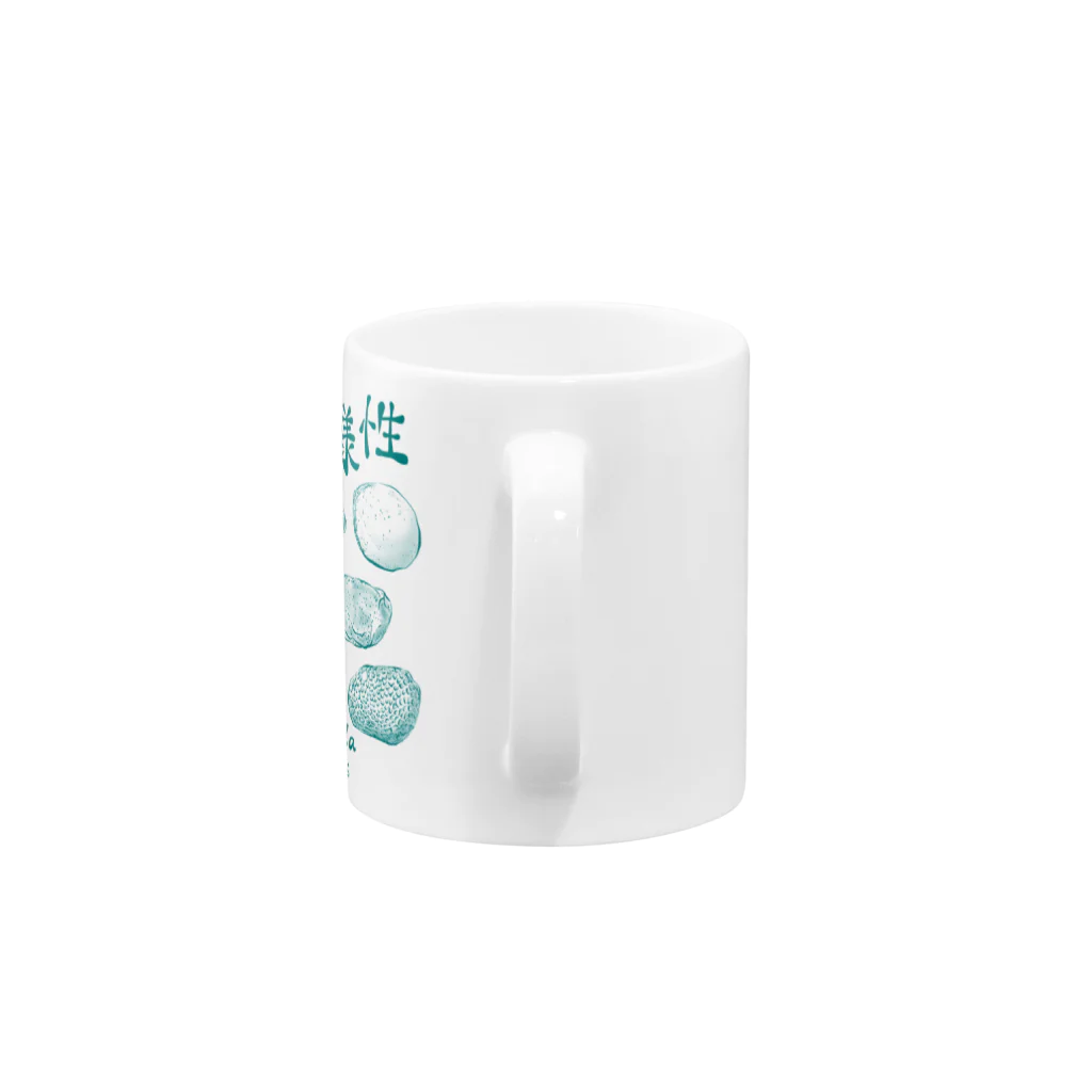 あとりえ・おすとらの貝形虫（形の多様性） Mug :handle