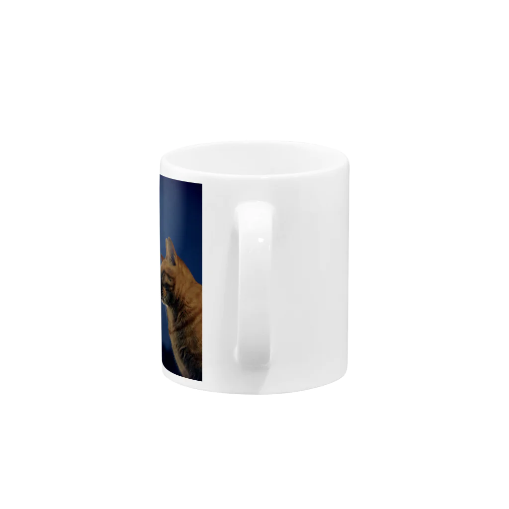 シッポ追いの猫写真店のつきねこ Supermoon Mug :handle