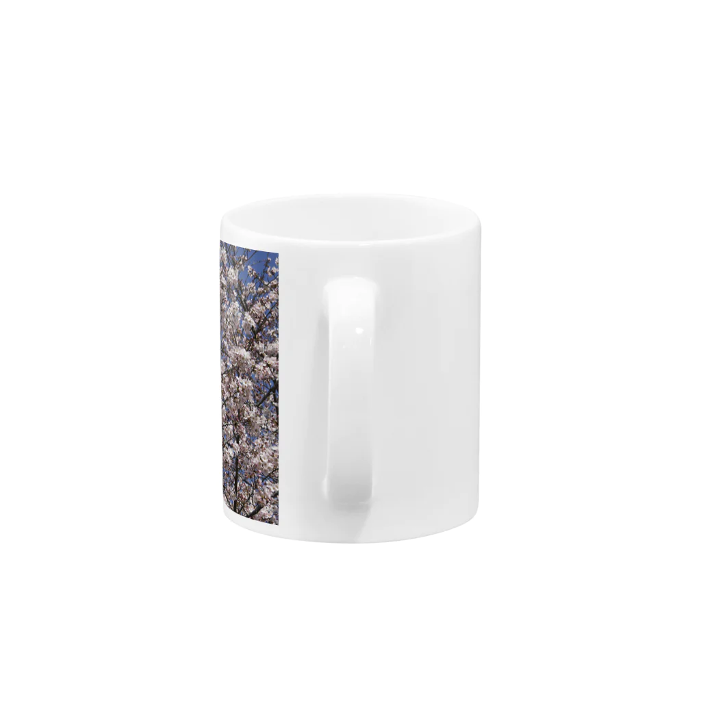 hiroki-naraの光景　sight0069　桜　2015_014　サクラ  Mug :handle