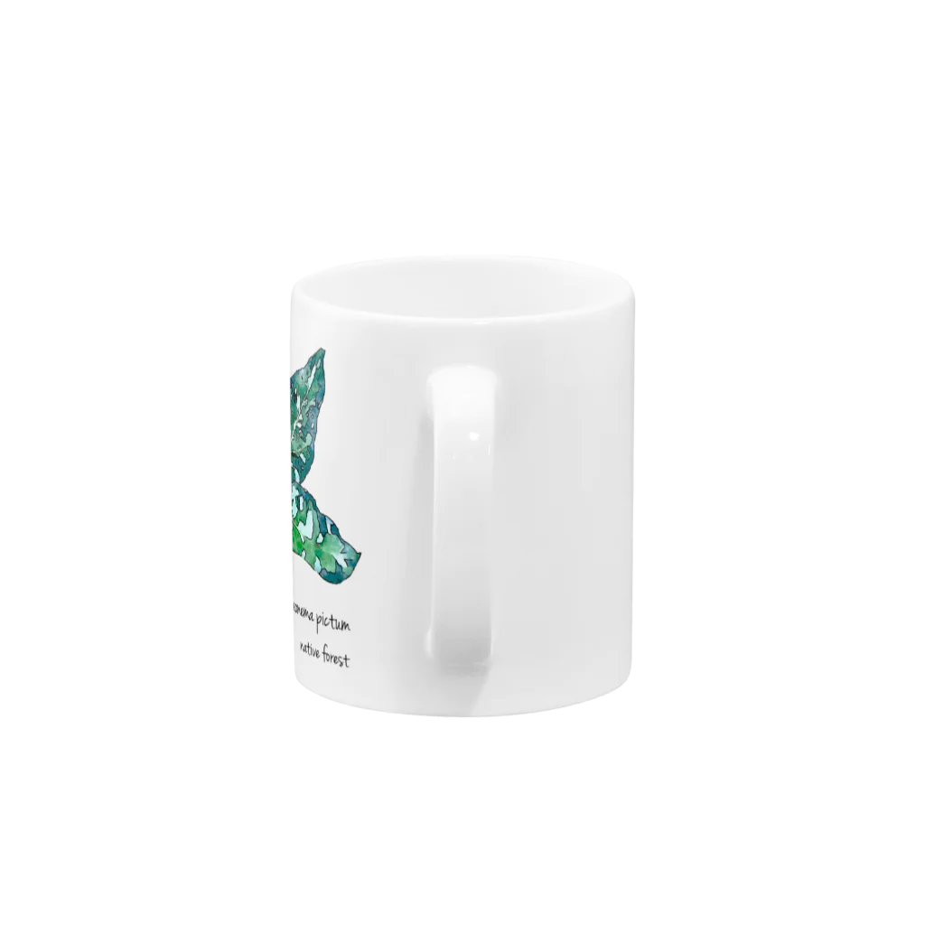 native forest 植物グッズのお店のアグラオネマ・ピクタム（Aglaonema pictum） Mug :handle