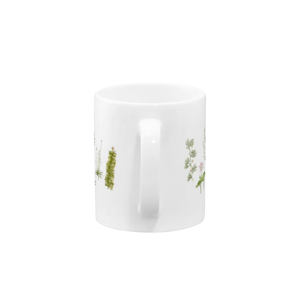 しの原しのの水草のお花 Mug :handle