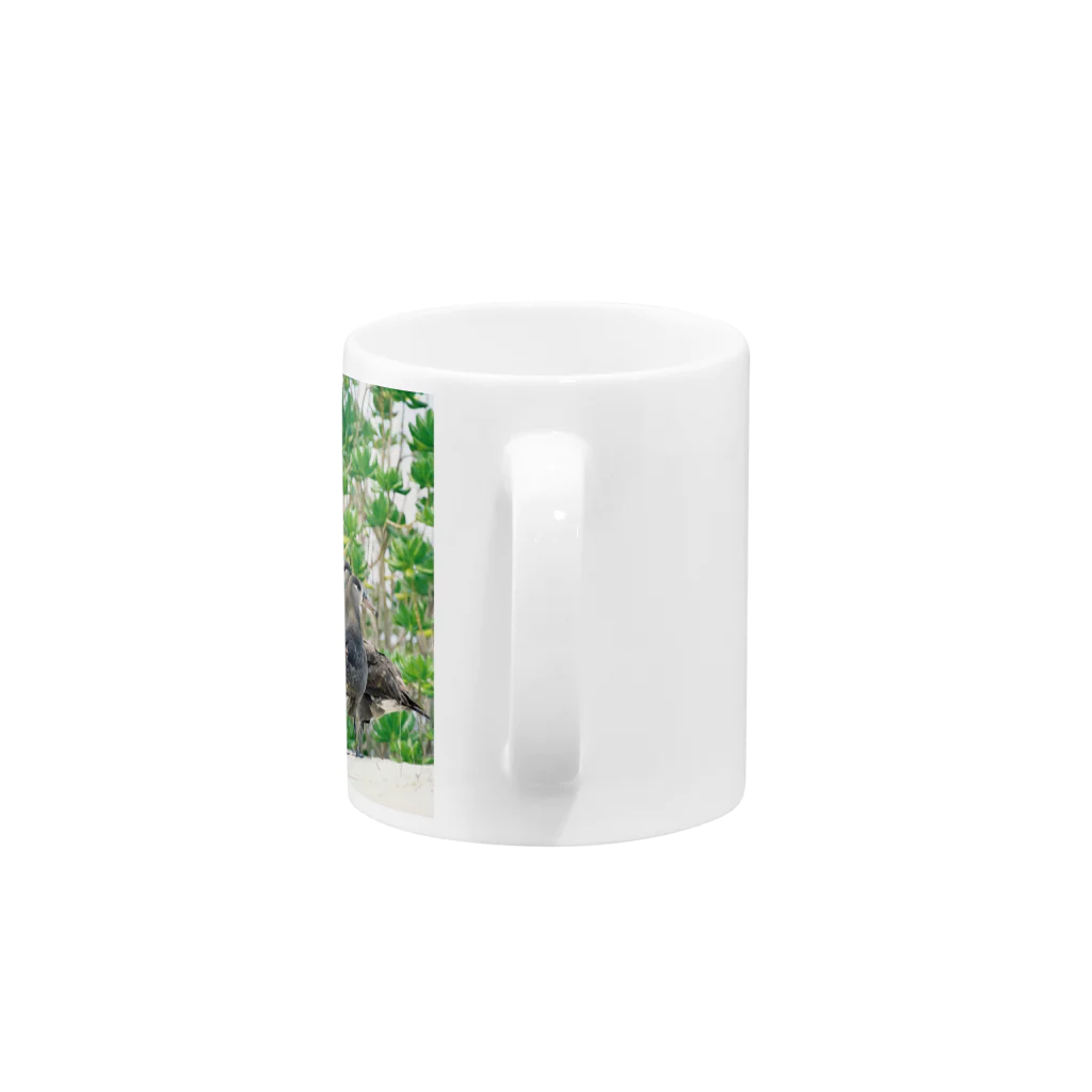 写真的徒然草のクロアシアホウドリ Mug :handle