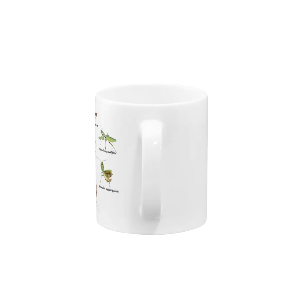 L_arctoaの関東のカマキリ（旧学名・非推奨）（背景白色ver） Mug :handle