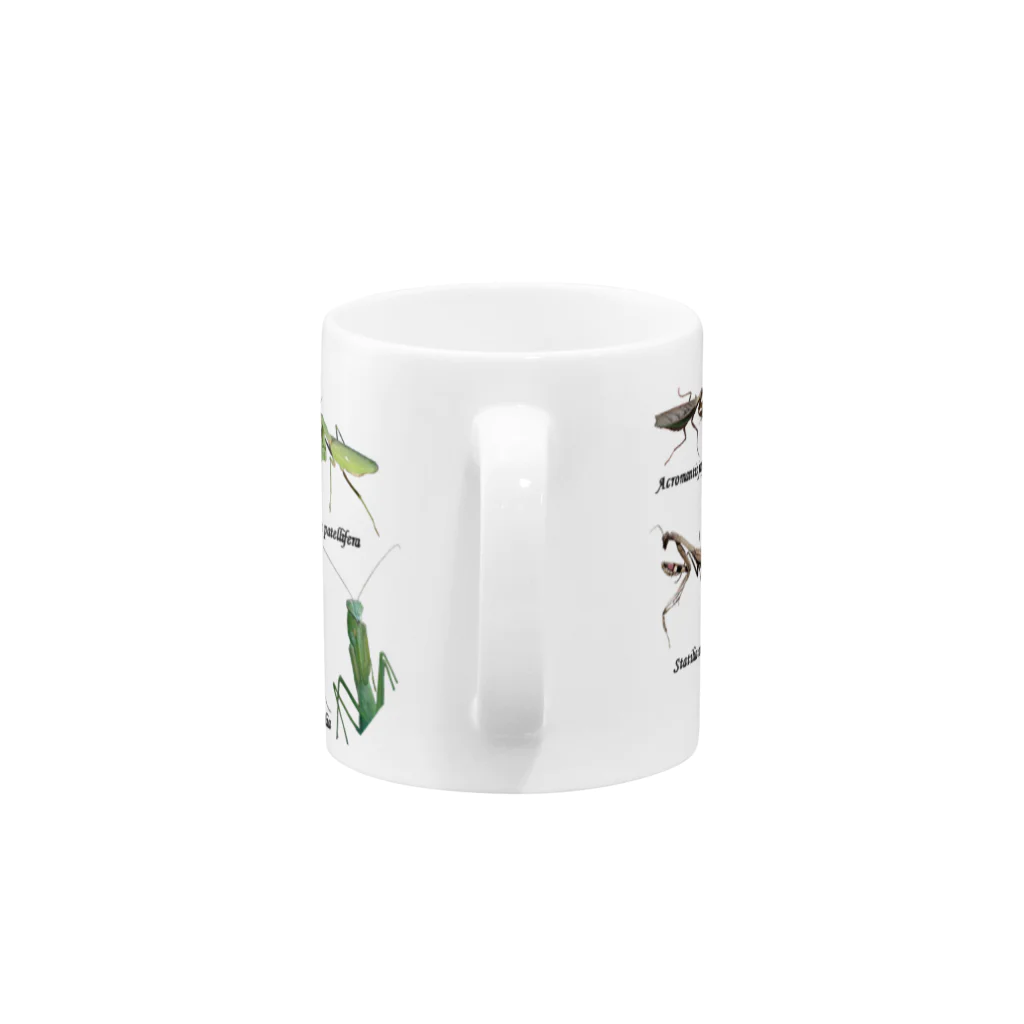 L_arctoaの関東のカマキリ（旧学名・非推奨）マグカップ（全面ver） Mug :handle