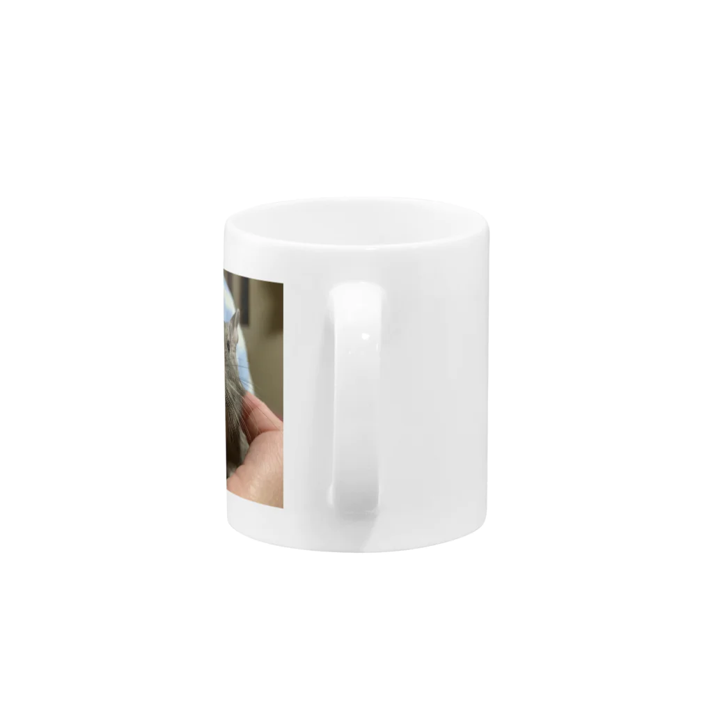 もぐレッダの撫でられデグーのぐりちゃん Mug :handle