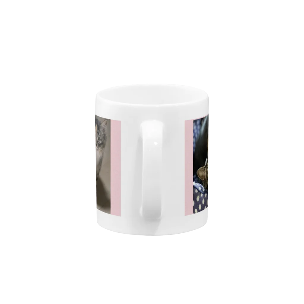 きなこ あずきショップの猫 Mug :handle
