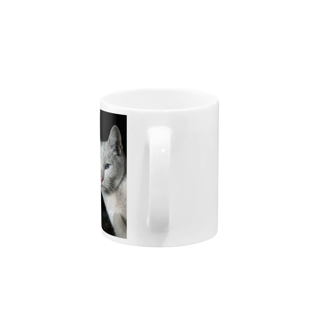 シッポ追いの猫写真店のオッドアイ Mug :handle