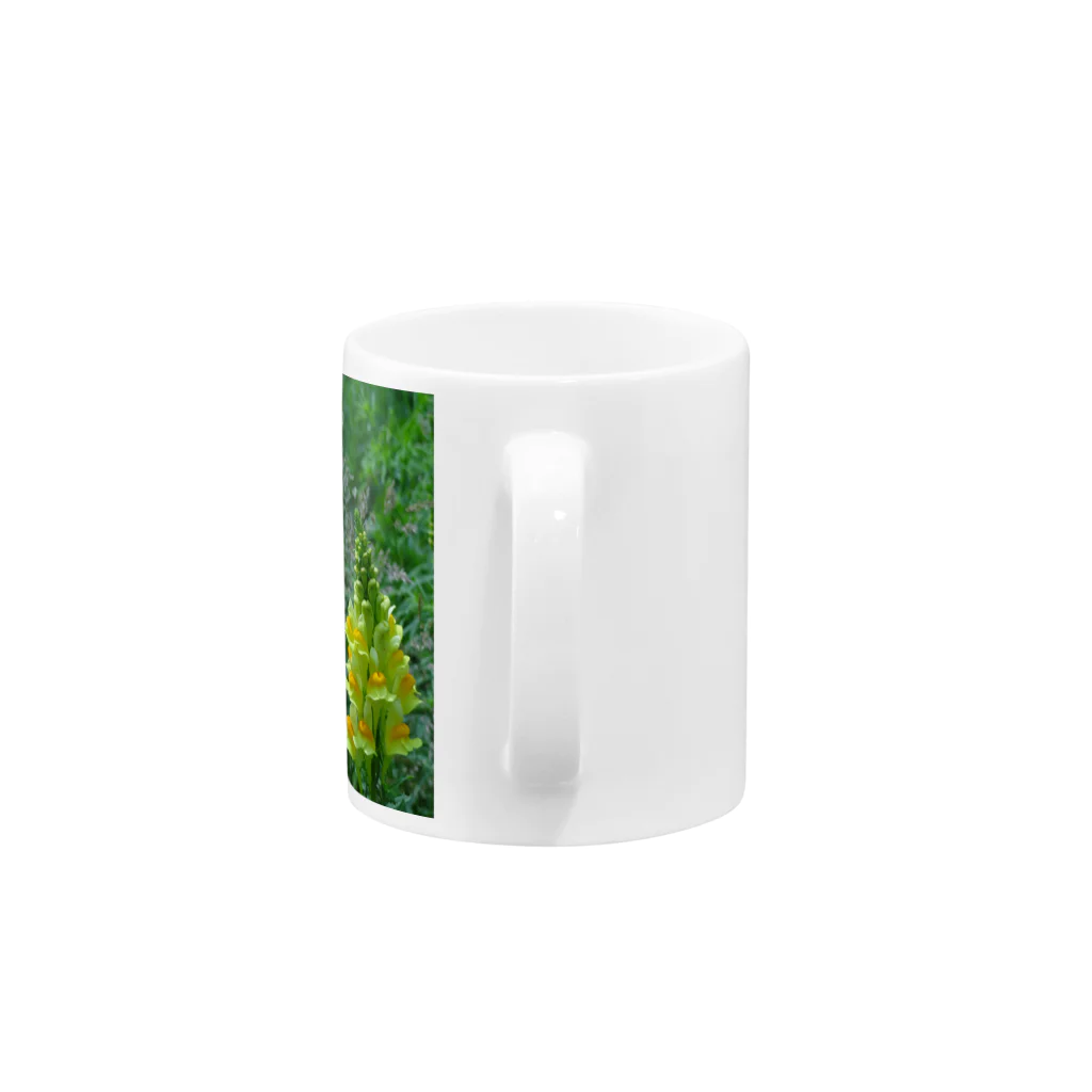 有川　弘治の夏花 Mug :handle