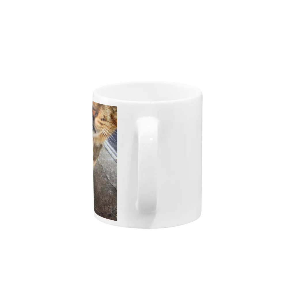 どんぐり屋敷の近所の猫 Mug :handle