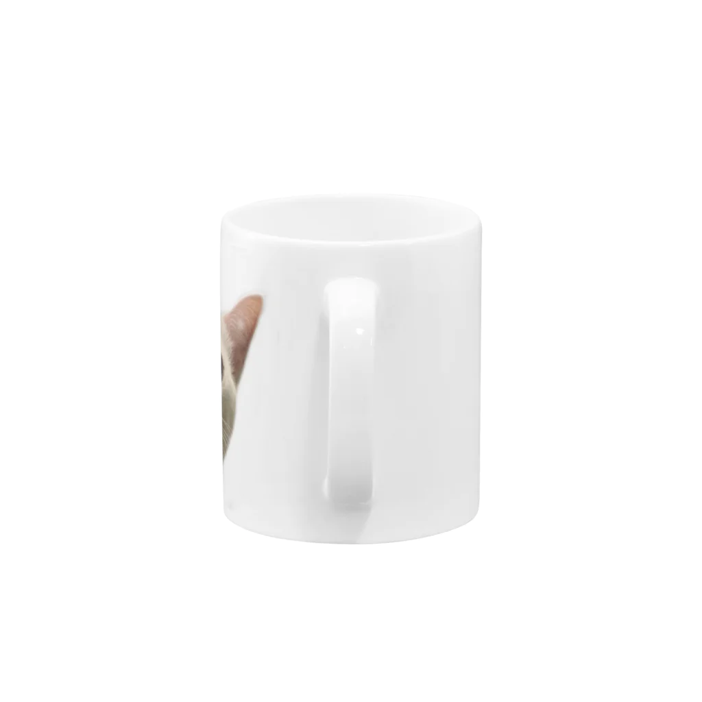 hitsmeeのしらすの真顔 Mug :handle