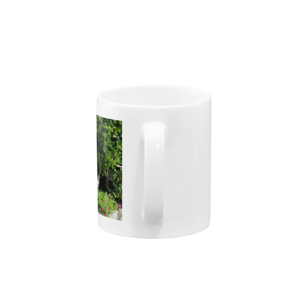 misacam_のみはりねこ Mug :handle