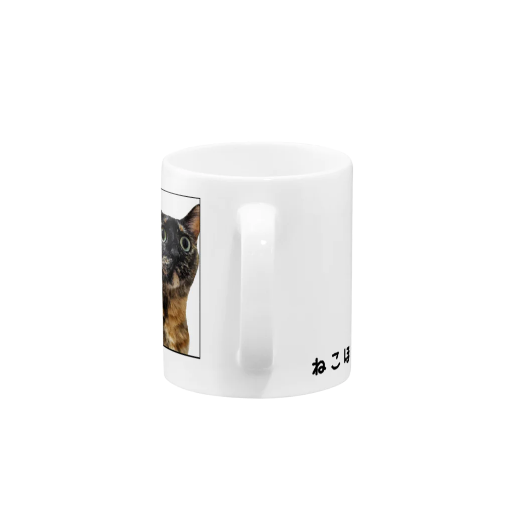 ねこほうチャンネル公式グッズのチロモモびっくりマグカップ Mug :handle