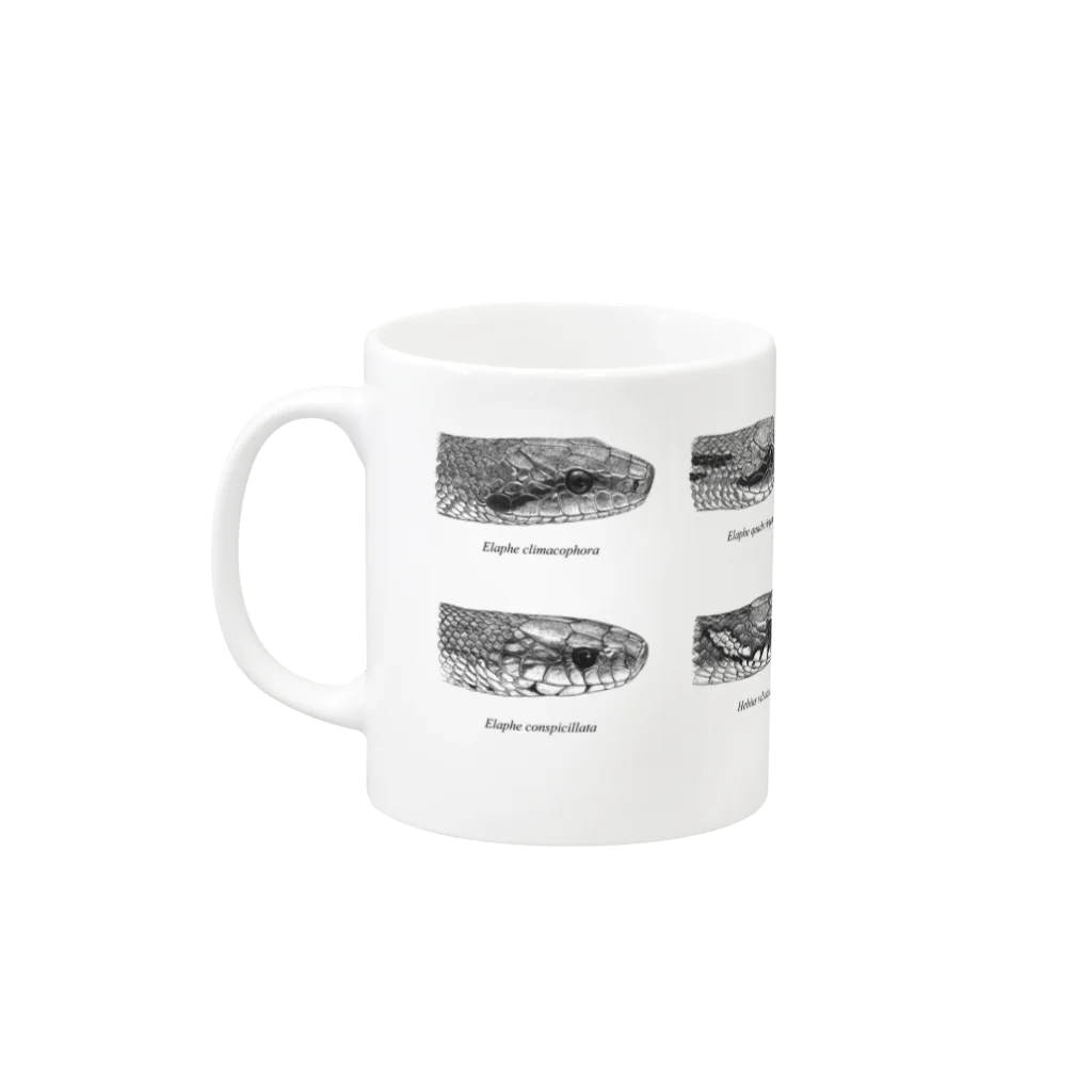 Filum anguis のSnakes of Japan Mug :left side of the handle