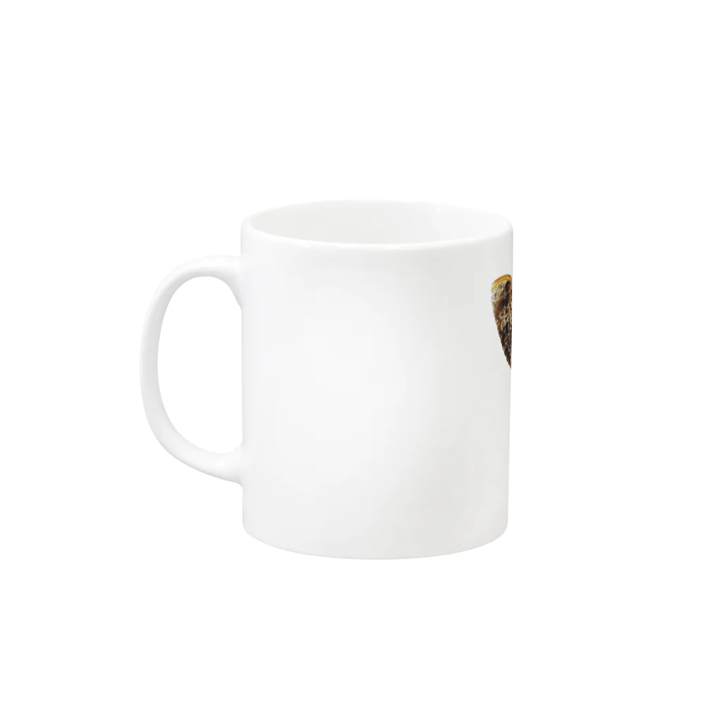 insectech.comのクロメンガタスズメ Mug :left side of the handle