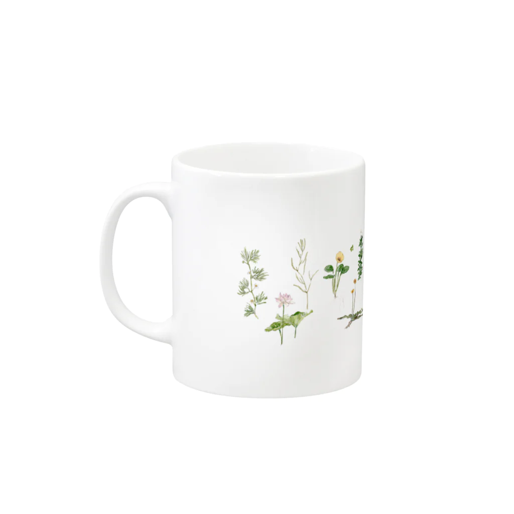 しの原しのの水草のお花 Mug :left side of the handle