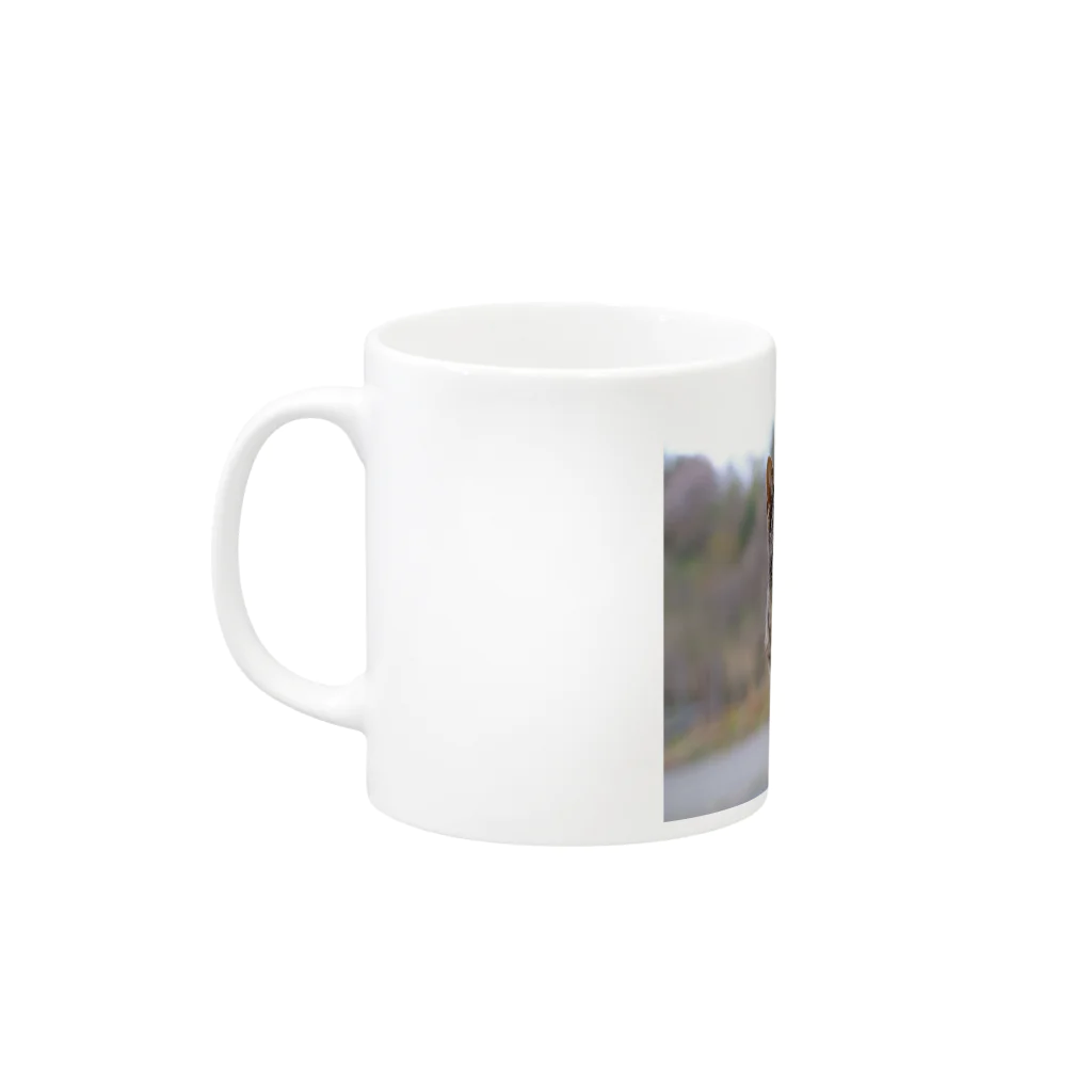 shieraの外猫 Mug :left side of the handle