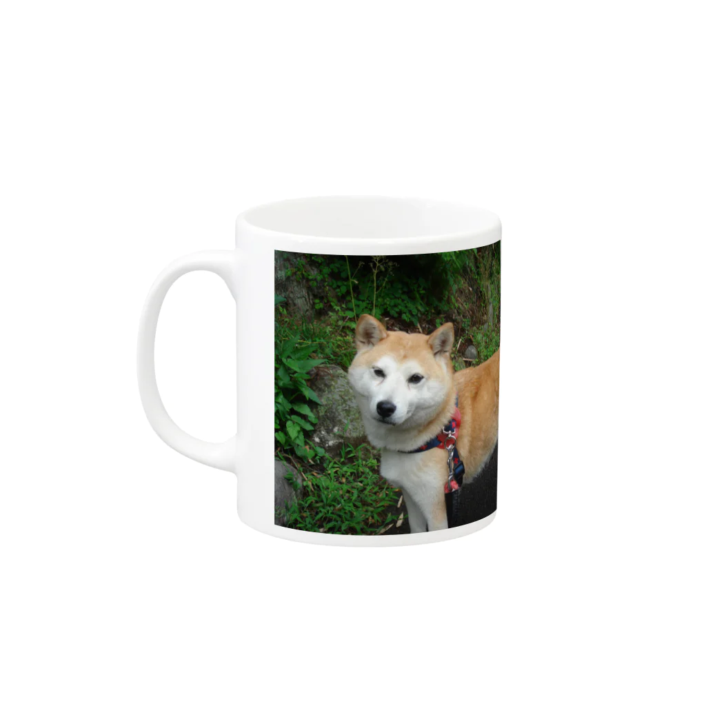 shibainuひめこの柴犬　ひめ Mug :left side of the handle