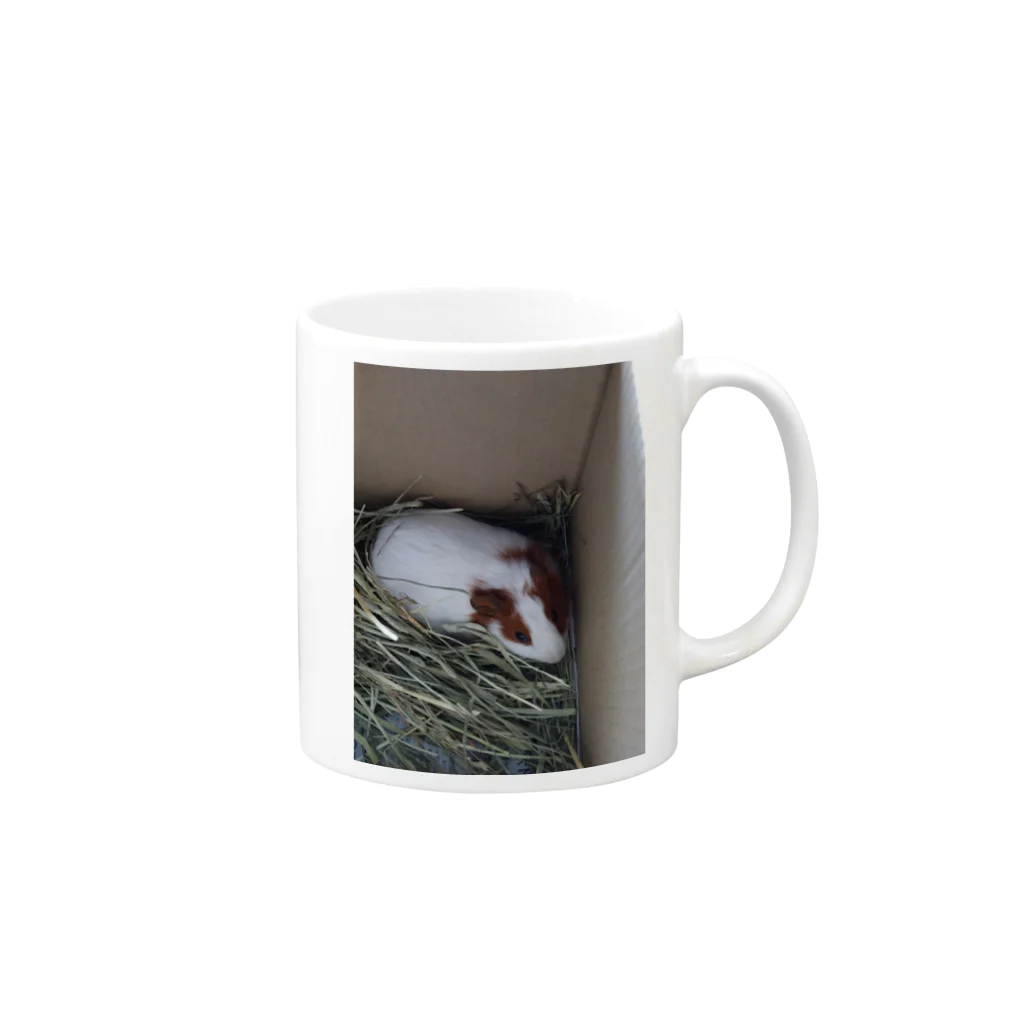 Milkoftheguineapigのモルモットのイヴさん Mug :right side of the handle