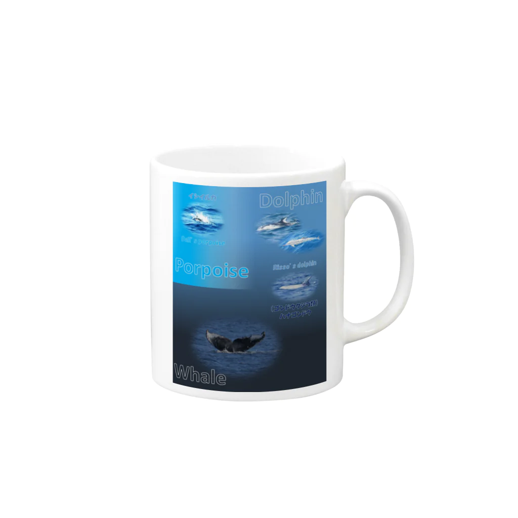 L_arctoaのイルカとクジラの違い Mug :right side of the handle