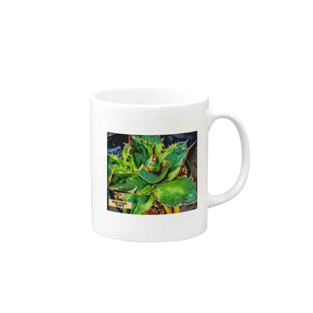 Hari no Yama / 針の山のMESA VERDE PLANTS Mug :right side of the handle