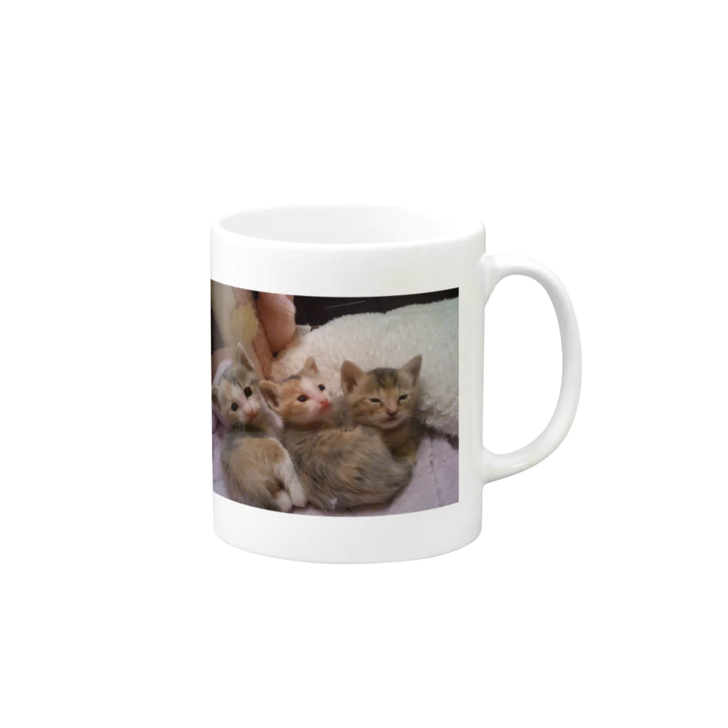 なぅ(ฅ¯ω¯ฅ )🐱🐱🐶🐾のねこねここねこ Mug :right side of the handle