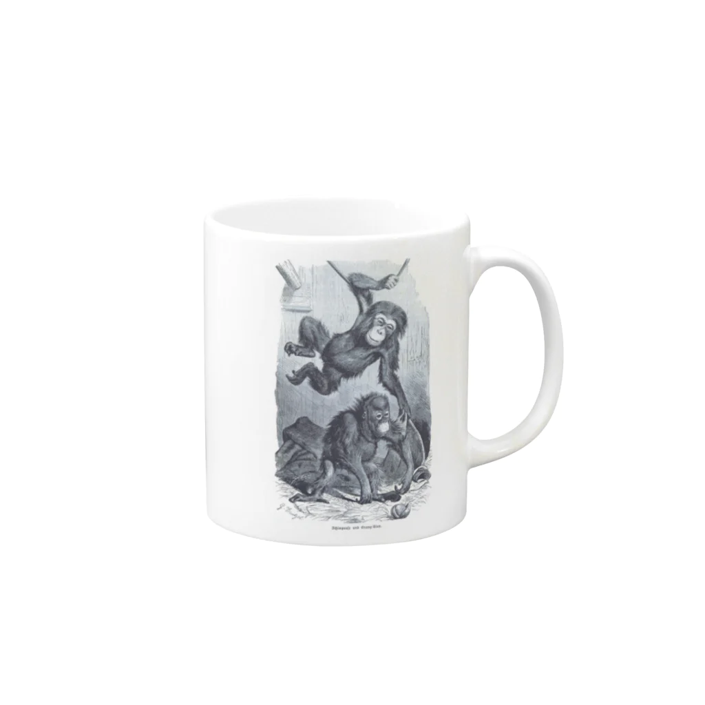 博物雑貨 金烏のThe British Library - Chimpanzee and orangutan Mug :right side of the handle