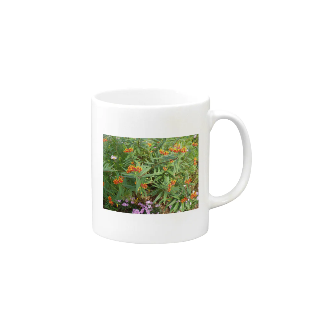 mapletree1974のお花畑 Mug :right side of the handle