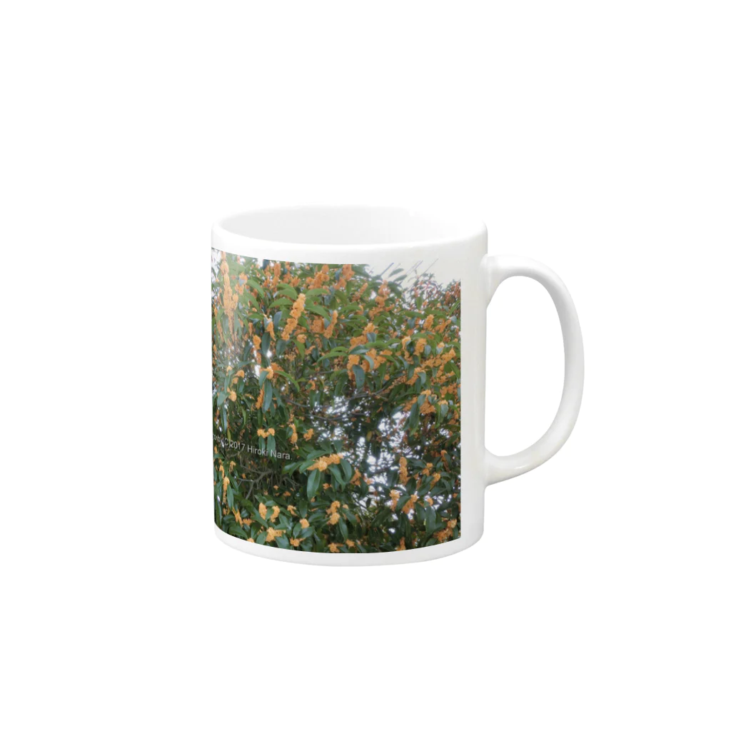 hiroki-naraの光景　sight740　キンモクセイ　金木犀　花 FLOWERS　壁紙 Mug :right side of the handle