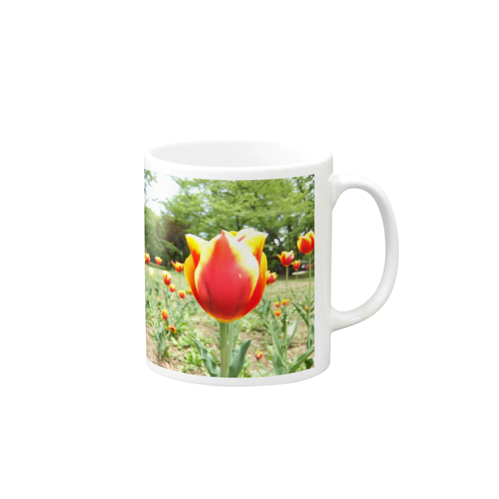 写真箱の Tulip Mug :right side of the handle