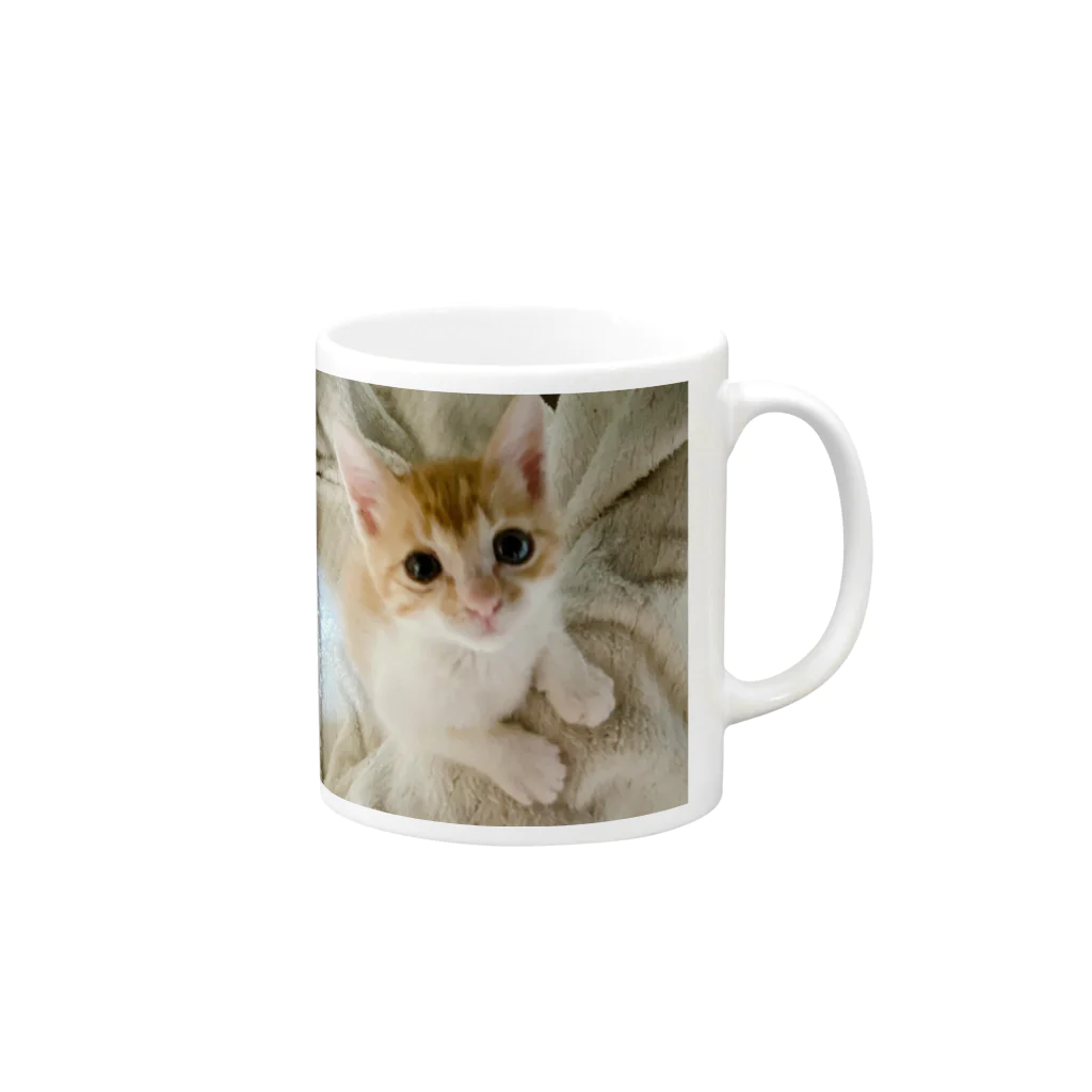 shirochansの保護猫ちゃん Mug :right side of the handle