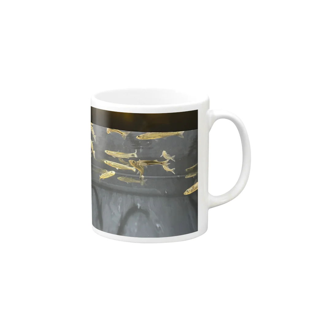 霧神彼方のお魚天国 Mug :right side of the handle