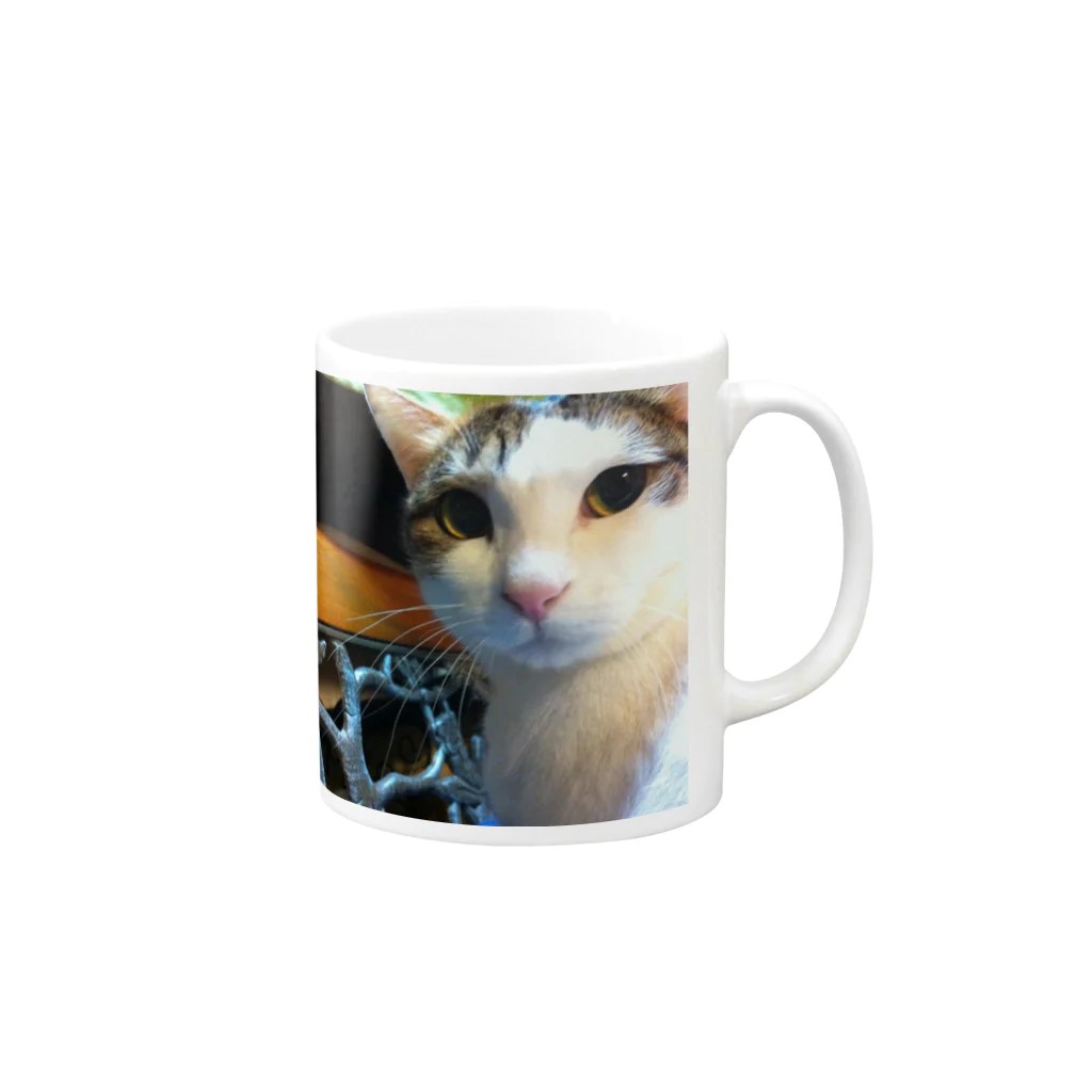 taku0024のCats Cool Face(CCF) Mug :right side of the handle