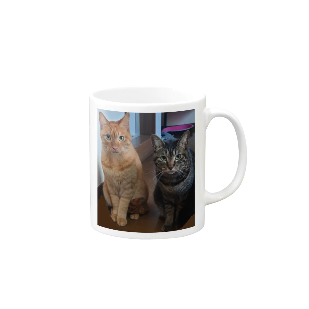 しろねこまるのちゃちゃ(茶トラ)とつぶ(キジトラ) Mug :right side of the handle