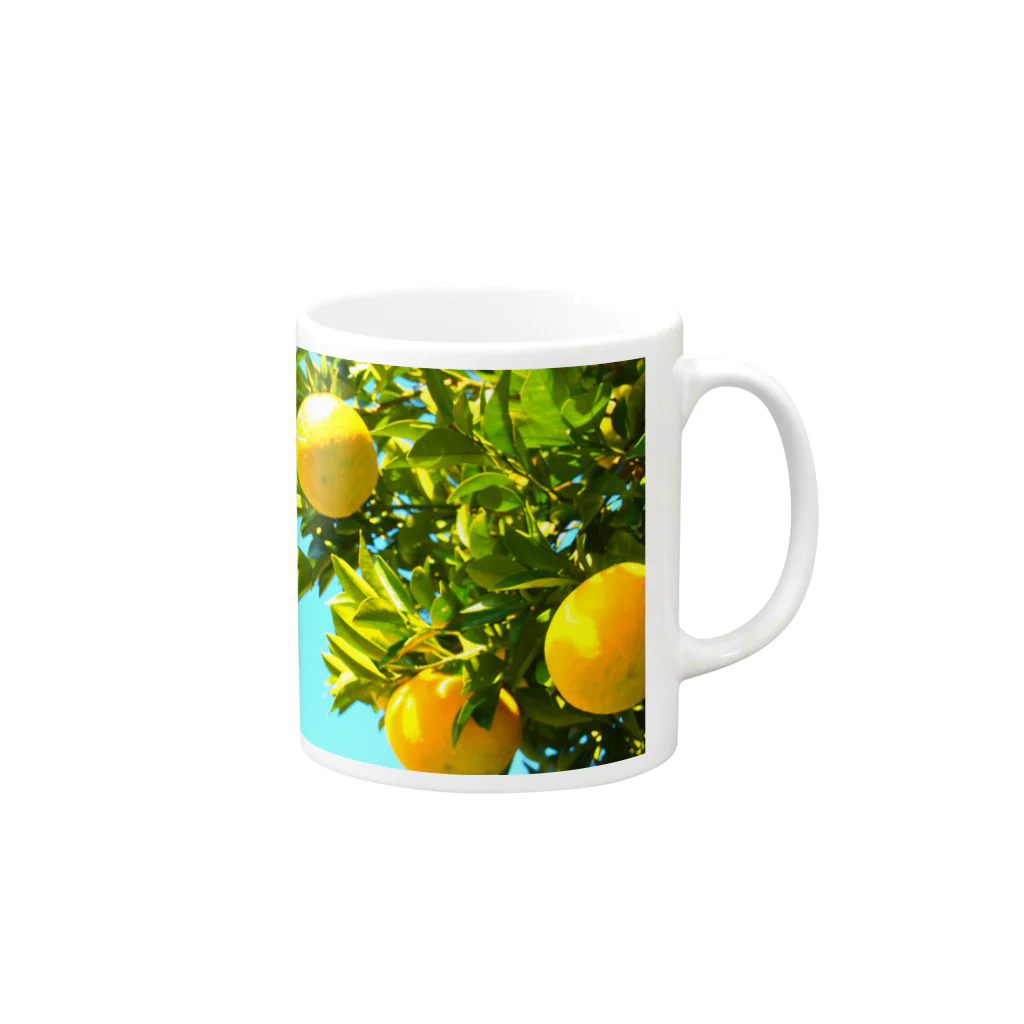 くろすけの夏みかん Mug :right side of the handle