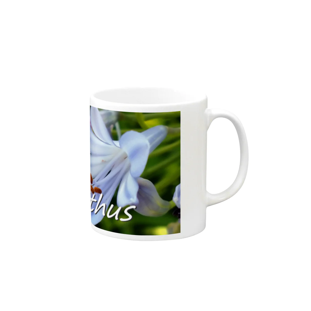  #satisfyingのアガパンサス Agapanthus Mug :right side of the handle