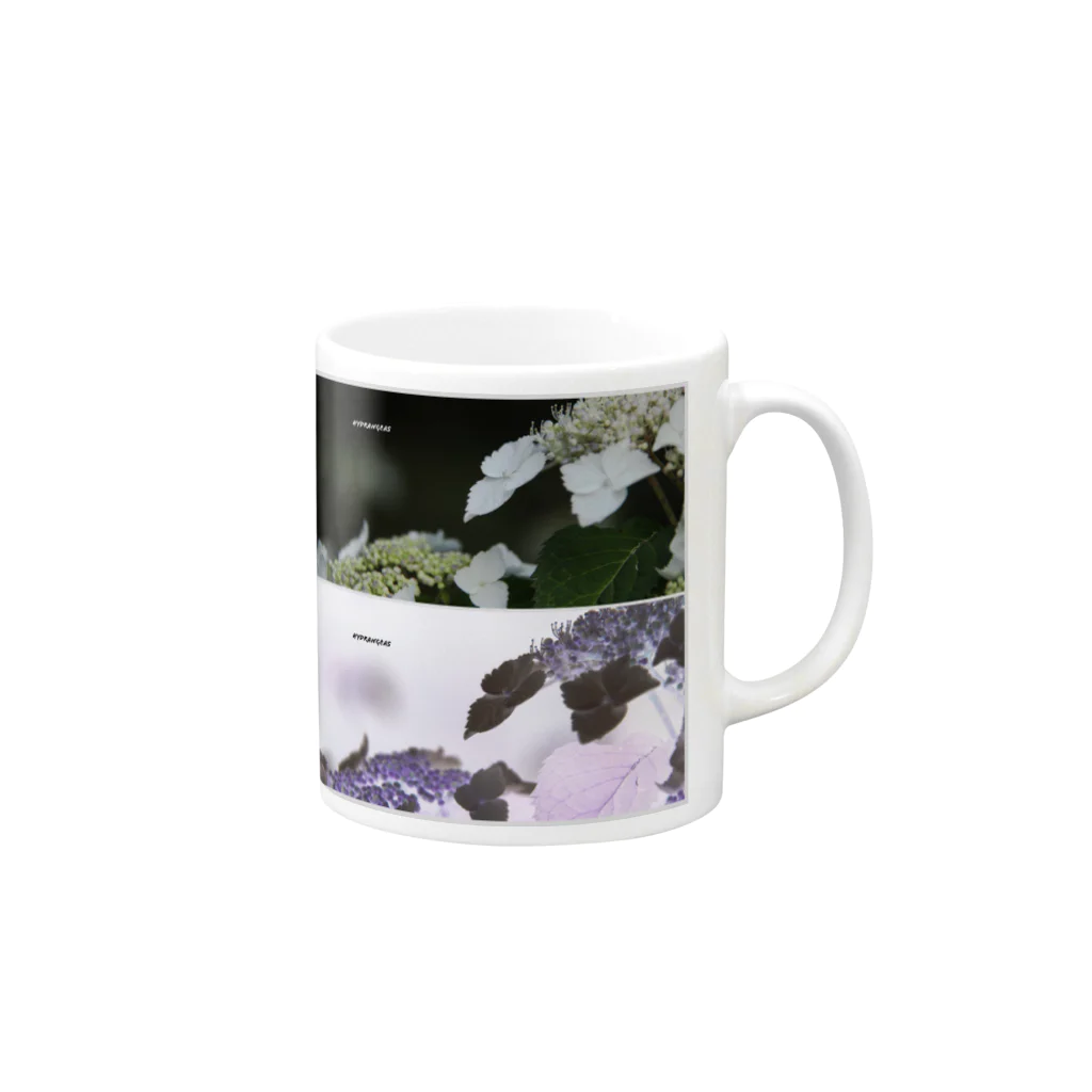 蛍石のhydrangeas Mug :right side of the handle