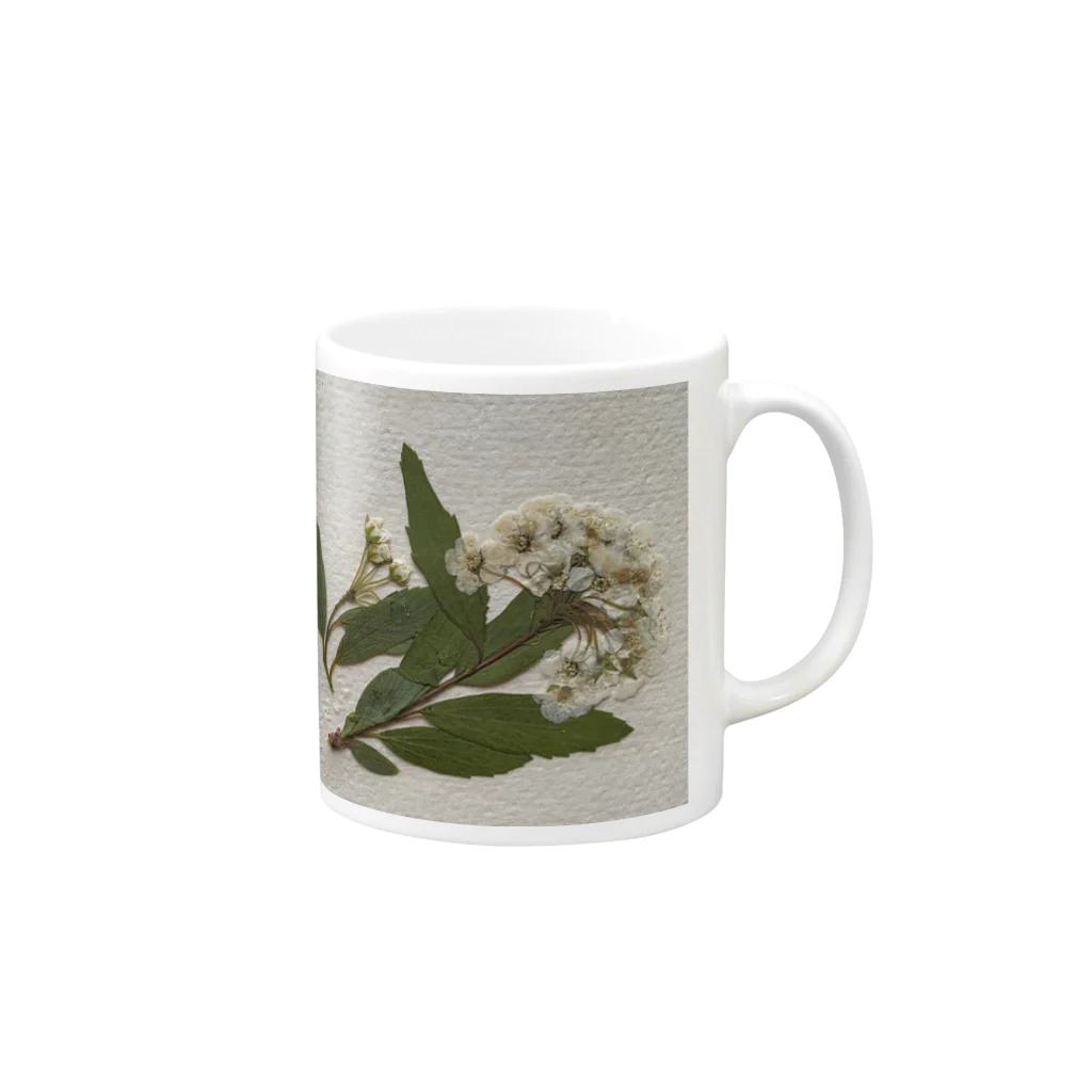 inakaen  いなか園の押し花『さんさ　しおん』 Mug :right side of the handle