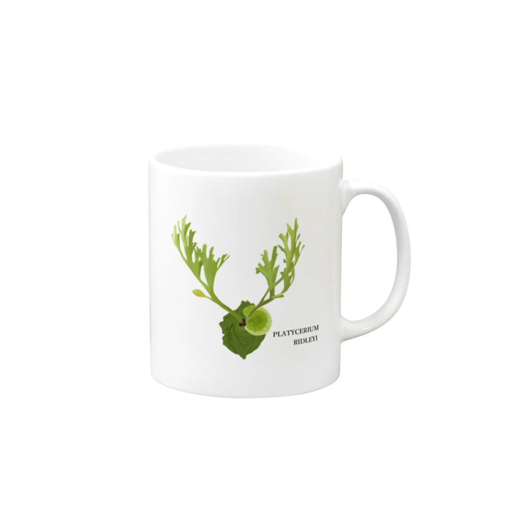 YASUPLANTS&AQUAのビカクシダ Mug :right side of the handle