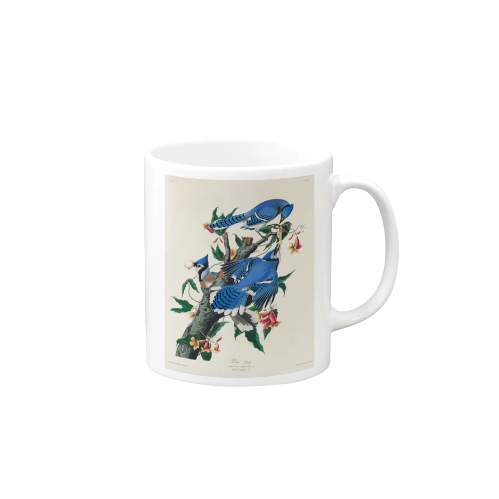 アニマル四字熟語のジョン・ジェームズ・オーデュボン　青い鳥 Mug :right side of the handle