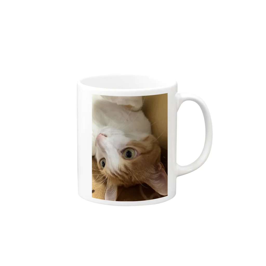 ももがいっぱいショップ　ネコのコロリンもも　ねこ Mug :right side of the handle